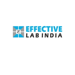 effectivelabindia