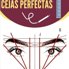 MANUAL PARA DISEÑO DE CEJAS PDF GRATIS