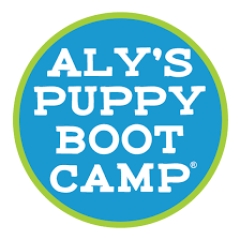 AlysPuppyBootcamp