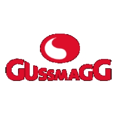 gussmagggmbh