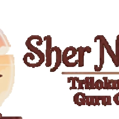 Shernath bapu of triloknath ashram