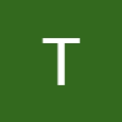 Tim David