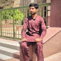 Husnain Ali