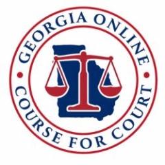 Online Course For Court Georgia 