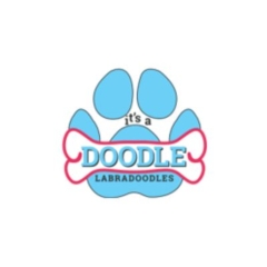 Its A Doodle K9 Service