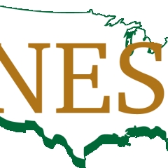 NES Building Solutions