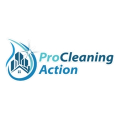 Pro Cleaning Action LLC