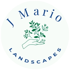 J Mario Scapes LLC