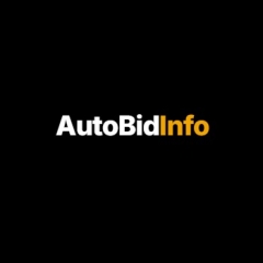 Autobidinfo