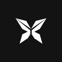 Viitorx.Studio